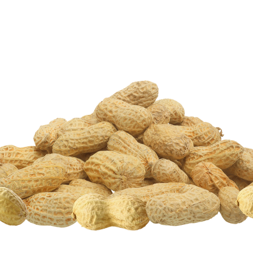 فول-سوداني-بالقشر